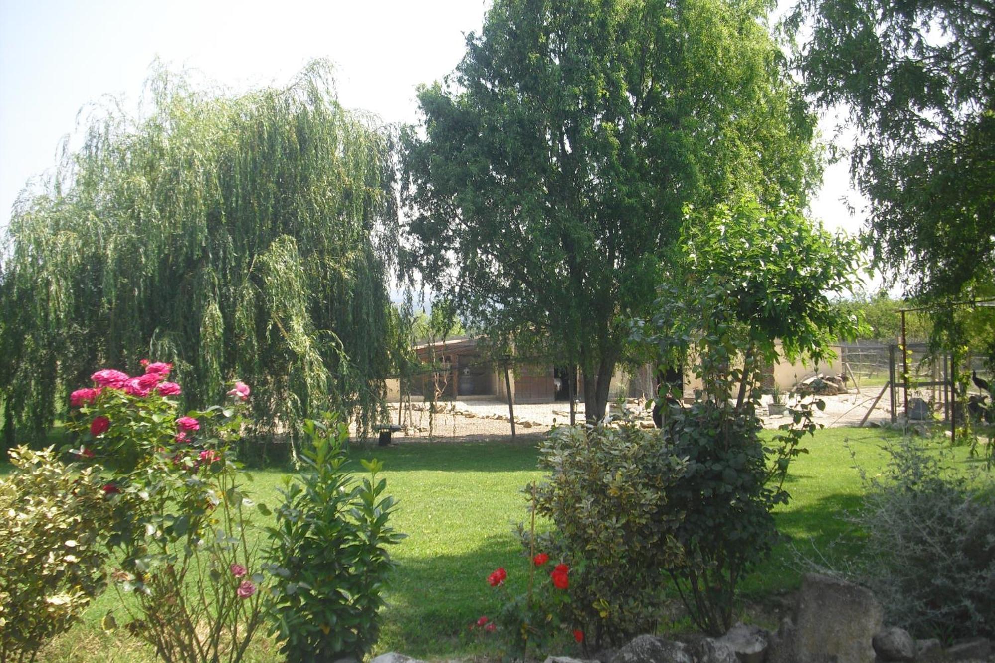 Lou Mas Li Pitchoun "Le Prunier " Daire Gordes Dış mekan fotoğraf
