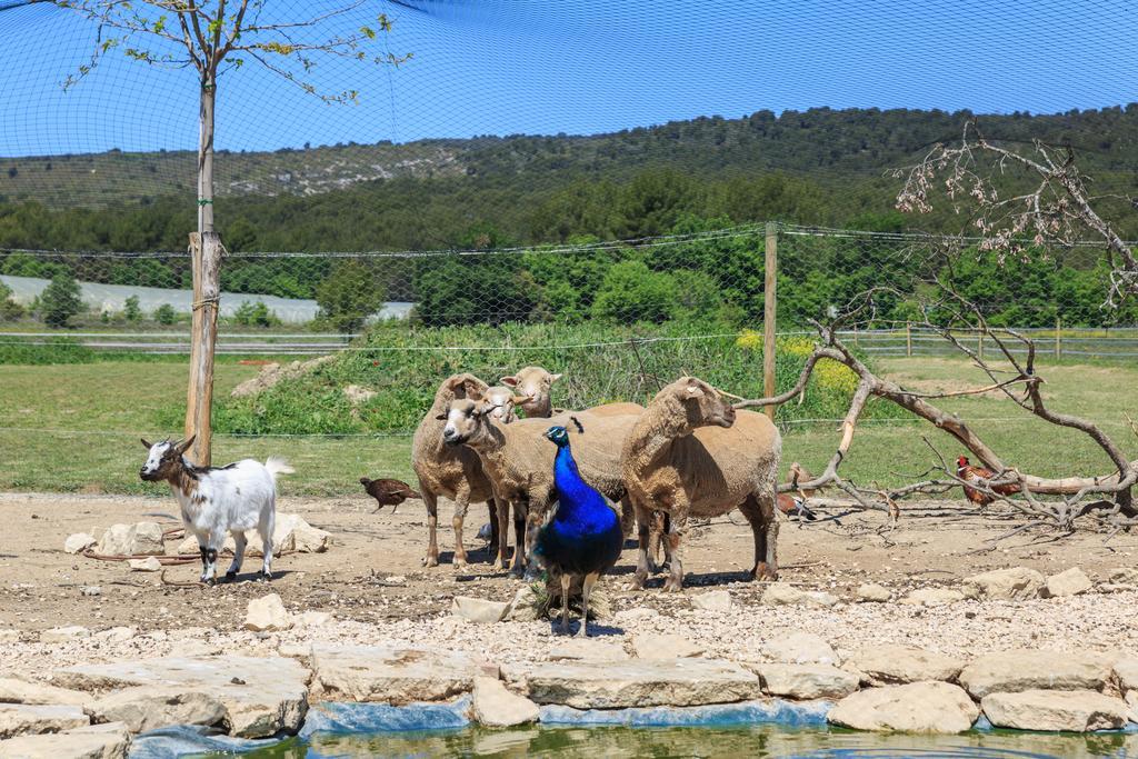 Lou Mas Li Pitchoun "Le Prunier " Daire Gordes Dış mekan fotoğraf